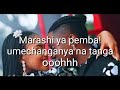 Rayvanny - Wanaweweseka (official video lyrics)