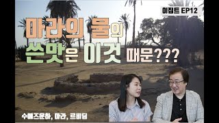 성아형TV EP28 이집트12일차: 수에즈운하, 마라, 르비딤, 아말렉, 시내산가는길