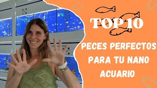 Top 10 peces perfectos para tu nano acuario