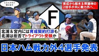 【またまた育成拒否も...？】日本ハム第二次戦力外で『北浦竜次』『宮内春輝』『柿木蓮』『斉藤伸治』ら４選手らが発表　北浦と宮内には育成契約打診も、北浦はトライアウト受験を目指し育成契約拒否の可能性浮上