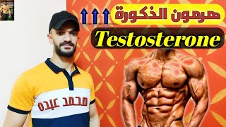 هرمرن التستوستيرون/ أسرار زيادتة / الطعام الوحيد فقط👌مثبت علميا لزيادة هرمون الذكورة💪