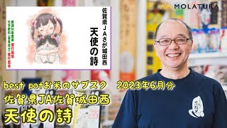 best pot(ベストポット）お米のサブスク6月分　佐賀県ＪＡ佐賀城田西「天使の詩」