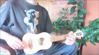 Homemade ukulele