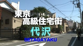 東京高級住宅街ライブラリー【世田谷区代沢】～東京散歩～