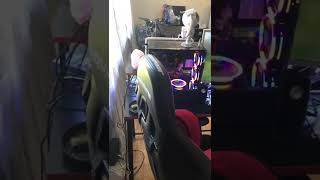 BEST LIVE STREAM GAMING SET UP 🎮⚡🚨 PS5 🎮 NBA 2K GTA 5 FORTNITE AND MORE !!!