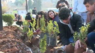 Volunteers plant trees as Syria's battered Aleppo returns to life