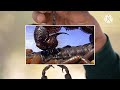 🔥दुनिया का सबसे जहरीला बिच्छू 😨 poisonous and dangerous scorpion in the world scorpions