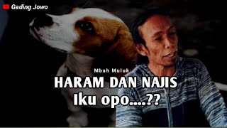 TIDAK ADA MAKANAN & MINUMAN ITU YANG HARAM DAN NAJIS - MBAH MULUK TERBARU