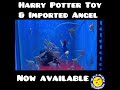 Harry Potter Floating Toy & Imported Angel now available @ Your Raj Fish Aquarium