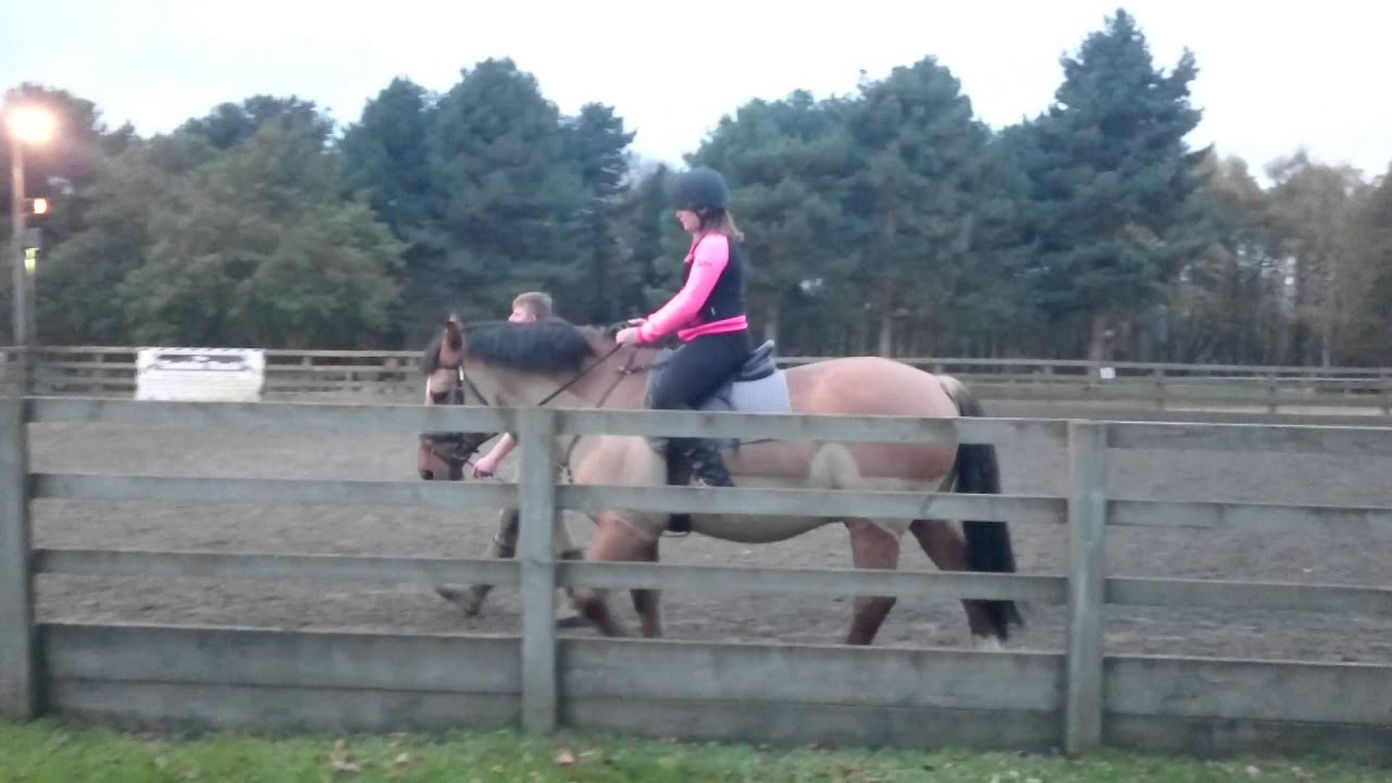 Horse Riding Youtube
