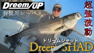 10分で釣れる利根川ボートシーバスが熱い！（銚子釣り）