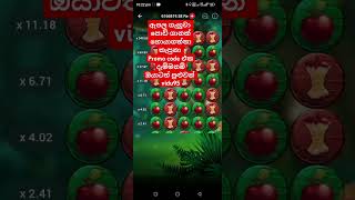 Apple hack / කොහොමද ඒක crash/geme / gamehack/crash hack #1xbet #trading #888starz #casino