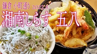 鎌倉散策【湘南しらす 五八】2022.8.神奈川県鎌倉市小町1-56 2F