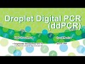 Digital Droplet PCR (ddPCR) | Oncomet Technology