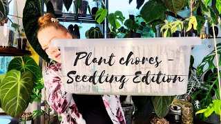 Plant Chores | Seedling Edition Part 1