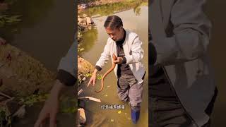 fishing আজকে দেখাবো আপনাদেরকে কিভাবে খুজে মাছ ধরতে হয় ❤️ #funny #chicken #duck