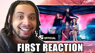 NON K-POP FAN REACTS TO BLACKPINK - '뚜두뚜두 (DDU-DU DDU-DU)’ M/V for the FIRST TIME!