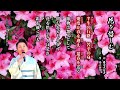 詩吟「花を惜しむ」吟：藤原光伶子　作：福沢諭吉