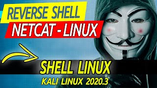 NETCAT + REVERSE SHELL LINUX - KALI LINUX 2020 [Tutorial Educacional]