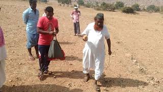 Borewell underground water point detecting using neem stick and coconut