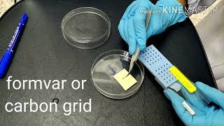 How to prepare TEM sample