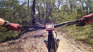 Next Level and Bad Dawg to Dam Wall - New Mogo MTB Trails - NSW