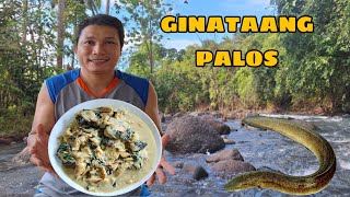 NAGLUTO SI MOMMY NG GINATAANG PALOS PARA SA PANANGHALIAN