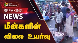 #JUSTIN | மீன்களின் விலை உயர்வு.. | Cuddalore | PTT