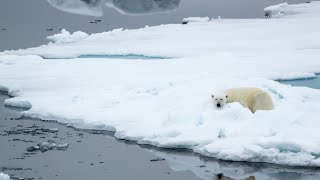 14-Day Spectacular Svalbard \u0026 Greenland