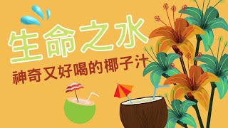 【生命之水】椰子水最天然的運動飲料還可解宿醉︱美肌瘦身︱防心血管疾病幫助睡眠。快速解除宿醉，獲得眾多好萊塢明星青睞，甚至瑪丹娜也有投資、Lady Gaga及蕾哈娜也愛不釋手。