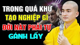 Trong Quá Khứ Tạo Nghiệp Gì Đời Này Phải Lãnh Lấy  - Thầy Thích Minh Thiền