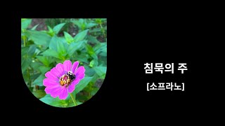 사순 특송 ㅣ 침묵의 주 [소프라노] ㅣ 파트연습