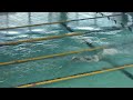 生田真結　女子50m自由形　第1回山学チャリティー