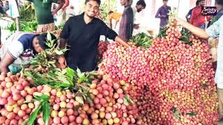 নাটোরে গুরুদাসপুরে জমে উঠেছে উত্তরবঙ্গের বৃহৎ লিচুর মোকাম