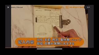 歯科技工指示書の書き方