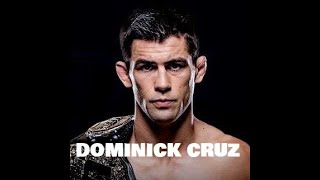 Dominick Cruz Highlights