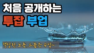 투잡 추천 l 처음 공개하는 투잡 부업~^^