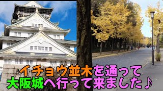 【大阪】イチョウ並木を通って大阪城への行き方〜JR・地下鉄森ノ宮駅〜