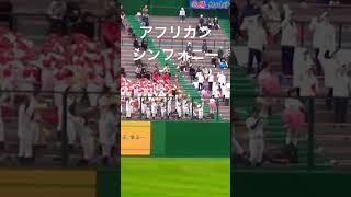 アフリカンシンフォニーからの・・【旭川明成】【高校野球応援】【野球部\u0026女子野球部】【チアガール】【吹奏楽部】