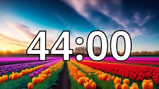 44 Minutes Timer with Music | Spring Timer