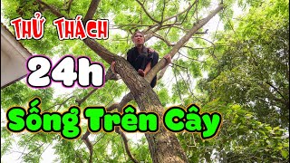 Dương Cô Nương Troll Em Họ Lơ Lửng Trên Trời 24h - Thử Thách 24h Sống Trên Cây