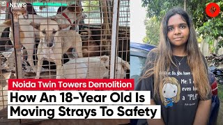 From Street To Shelter: Meet 18-Year-Old Who Is Making Sure The Strays Are Safe Before Demolition