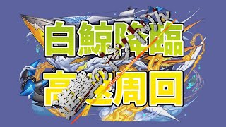 パズドラ【白鯨降臨】高速周回編成