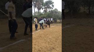 Dog race tamil chippiparai vs kanni race🏁#chippiparaidog #dograce #greyhounddograce #youtubeshorts