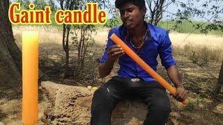 World biggest candle making at home | Tamil | Giant candle | Recycle candle | Ripak Tech |