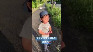 大人より車に詳しい２歳児とのお散歩【シエンタ ムーブ ベンツ】