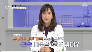 우리 몸을 살리는 '생존 근육' 잦은 무기력함은 근육감소의 신호! | 건강 문제 해결 수사극 건강청 사람들 4 회