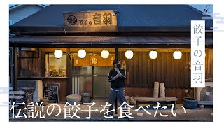 【豊川市】「餃子の音羽」で伝説の餃子を食べたい！