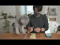 🐶本日より動画投稿を再開します！