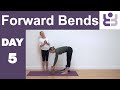 Improve your Forward Bends in 7 Days. Day 5. Uttanasana (Belt to shins) Iyengar Yoga for Beginners.